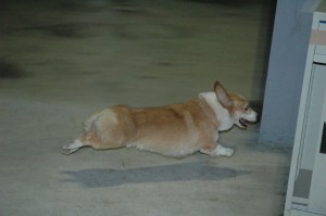 1380944879-2665209355