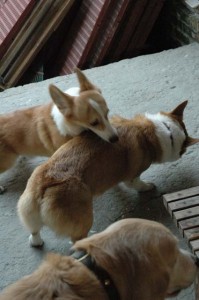 1380944880-1854101759