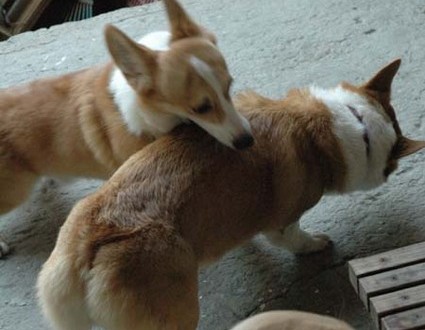 1380944880-1854101759