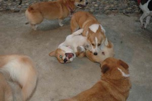 1380944880-2378725756