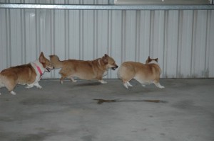 1380944881-2590564870