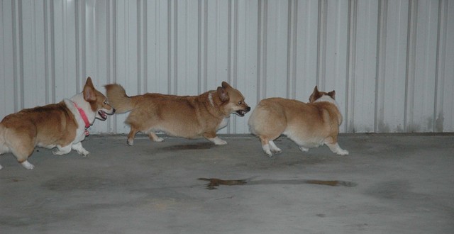 1380944881-2590564870