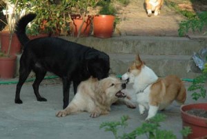 1380944881-406240122