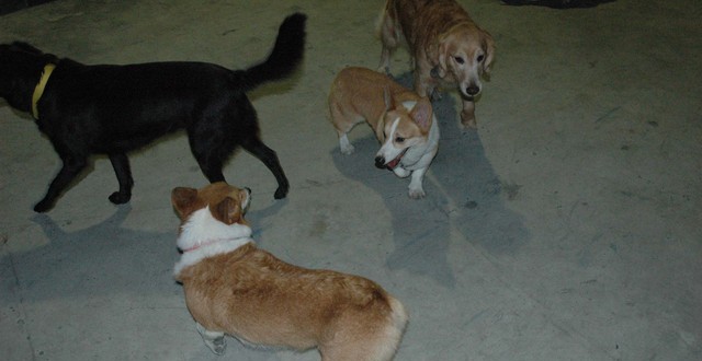 1380944882-154644480