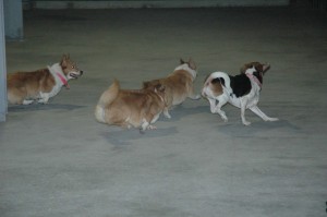 1380944882-1945181547