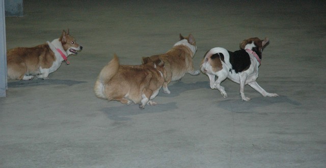 1380944882-1945181547