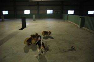 1380944882-3005034868