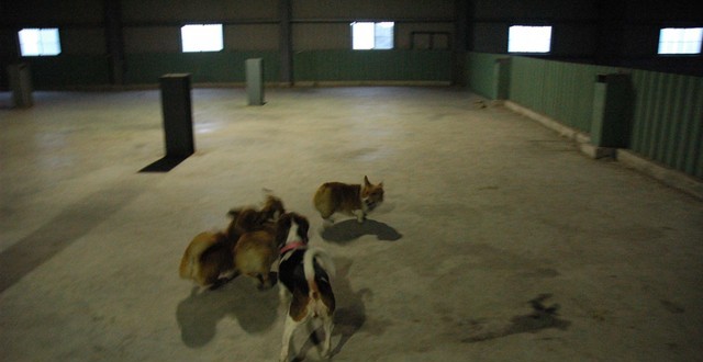 1380944882-3005034868