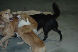 1380944883-286574474