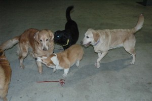 1380944883-3059335556