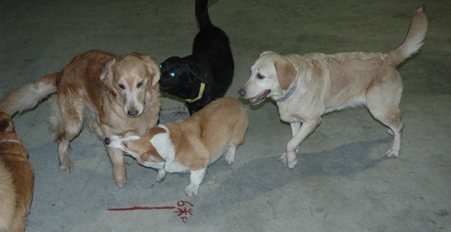 1380944883-3059335556