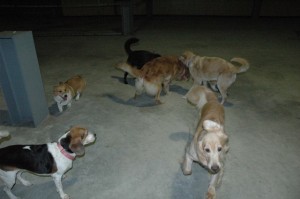 1380944884-3493879208