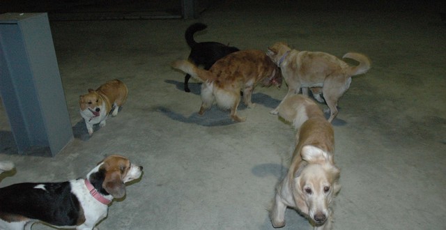 1380944884-3493879208