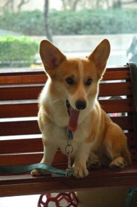 1380944884-3540917270