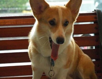 1380944884-3540917270