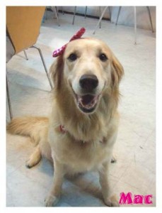 1380944900-2971548992