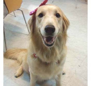 1380944900-2971548992