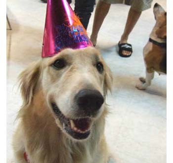 1380944900-4185772887