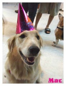 1380944900-4185772887