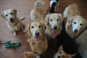 1380944904-1010957622