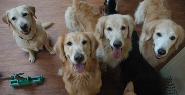 1380944904-1010957622