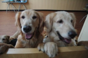 1380944905-2533522385