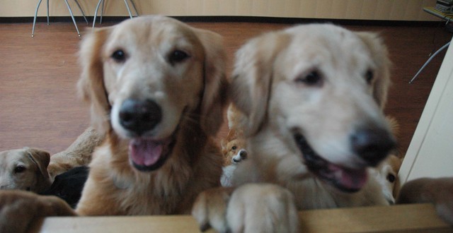 1380944905-2533522385