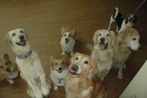 1380944905-792808872