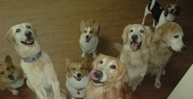 1380944905-792808872