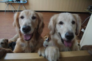 1380944906-2746251577