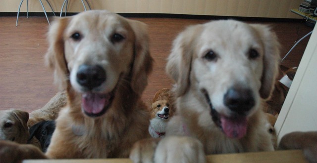 1380944906-2746251577