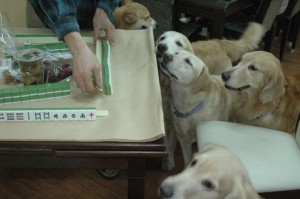 1380944907-1130667528