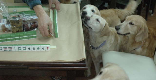 1380944907-1130667528