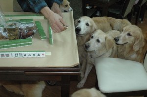 1380944907-3772857073