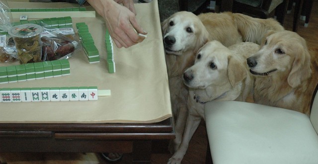 1380944907-3772857073