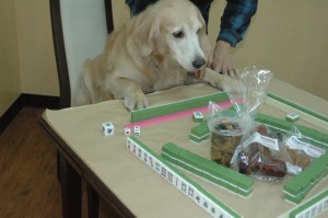 1380944908-3086176080