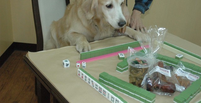 1380944908-3086176080