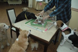 1380944908-388605680