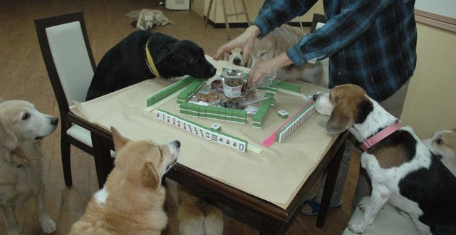 1380944908-388605680