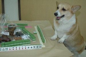 1380944908-607685155