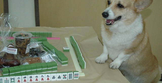 1380944908-607685155