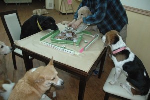 1380944909-115486384