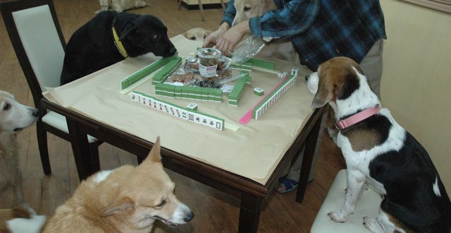 1380944909-115486384