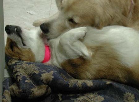 1380944914-338551517