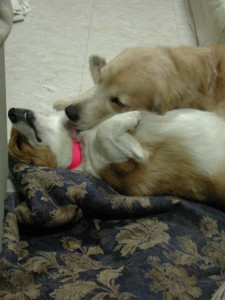 1380944914-338551517