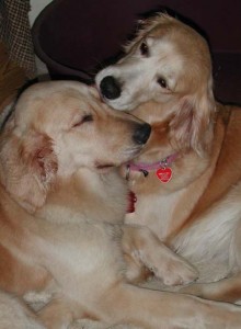 1380944915-2136683805