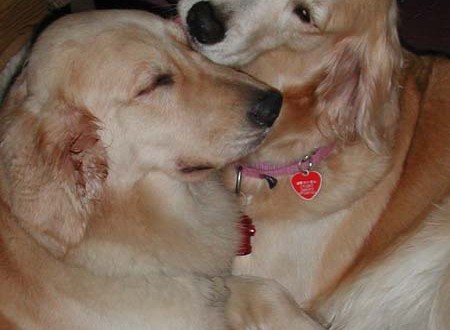 1380944915-2136683805