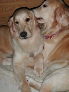 1380944915-2306607384