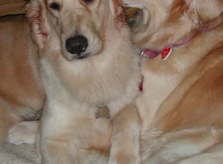 1380944915-2306607384