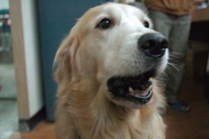 1380944915-522664229